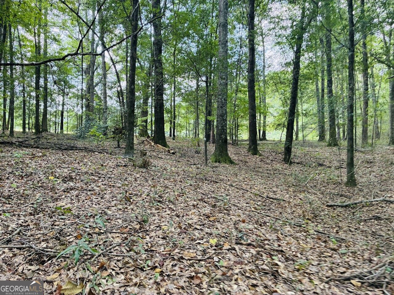 0 Fouche Road Buena Vista GA 31803