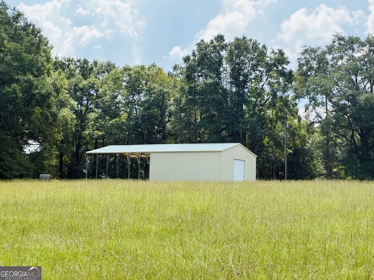 0 Fouche Road Buena Vista GA 31803