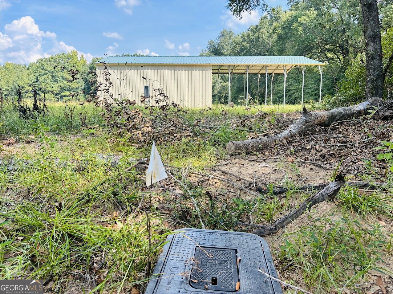 0 Fouche Road Buena Vista GA 31803