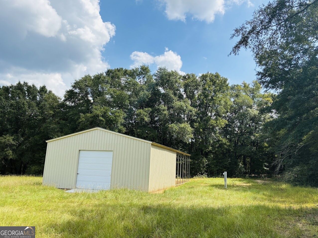 0 Fouche Road Buena Vista GA 31803