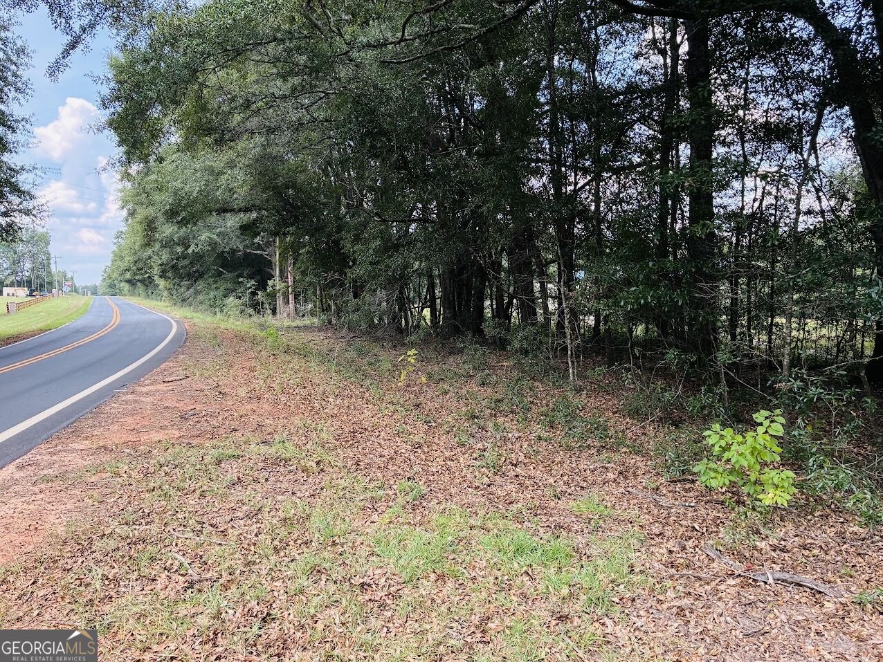 0 Fouche Road Buena Vista GA 31803