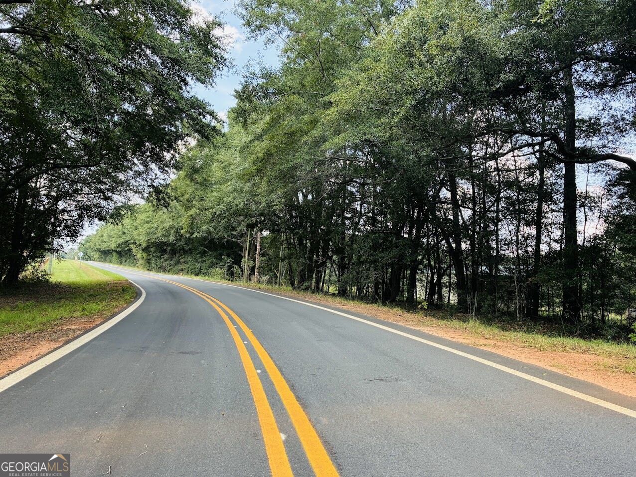 0 Fouche Road Buena Vista GA 31803