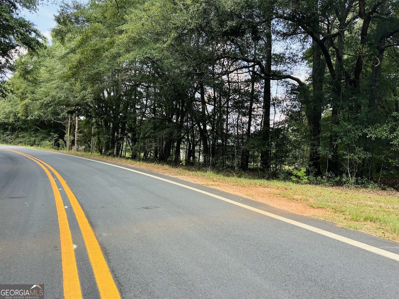0 Fouche Road Buena Vista GA 31803