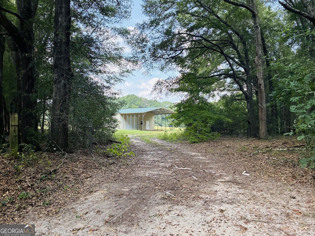 0 Fouche Road Buena Vista GA 31803