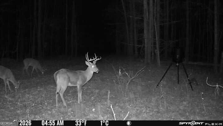 0 Fouche Road Buena Vista GA 31803