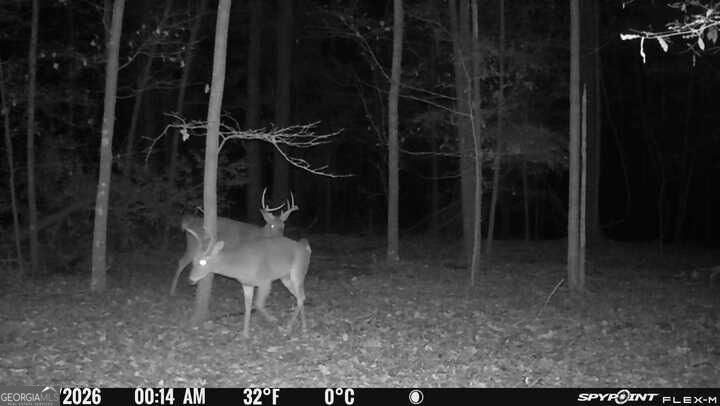 0 Fouche Road Buena Vista GA 31803