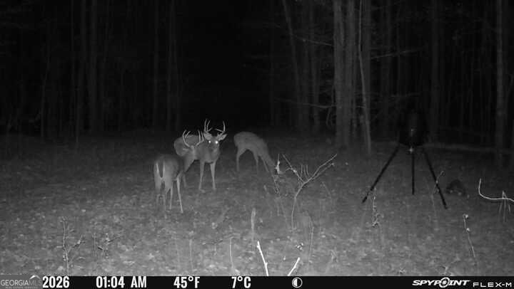 0 Fouche Road Buena Vista GA 31803