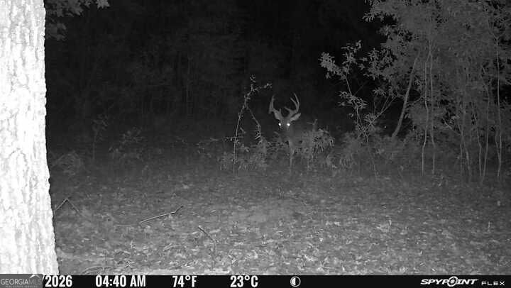 0 Fouche Road Buena Vista GA 31803