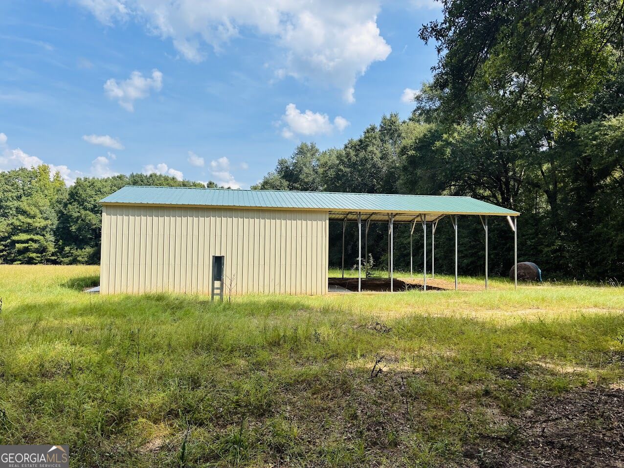 0 Fouche Road Buena Vista GA 31803