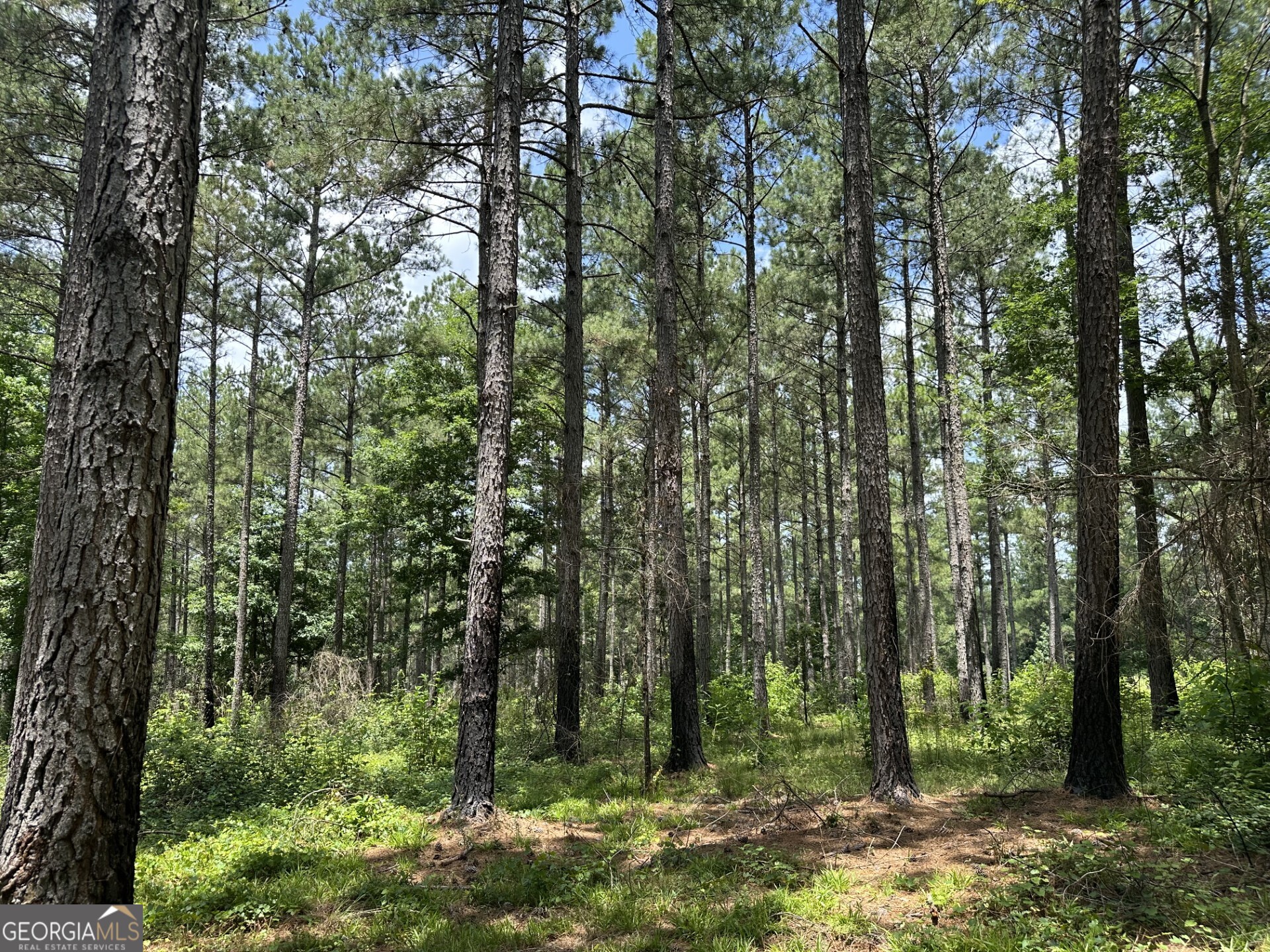 360 Happy Hollow Road Comer GA 30629