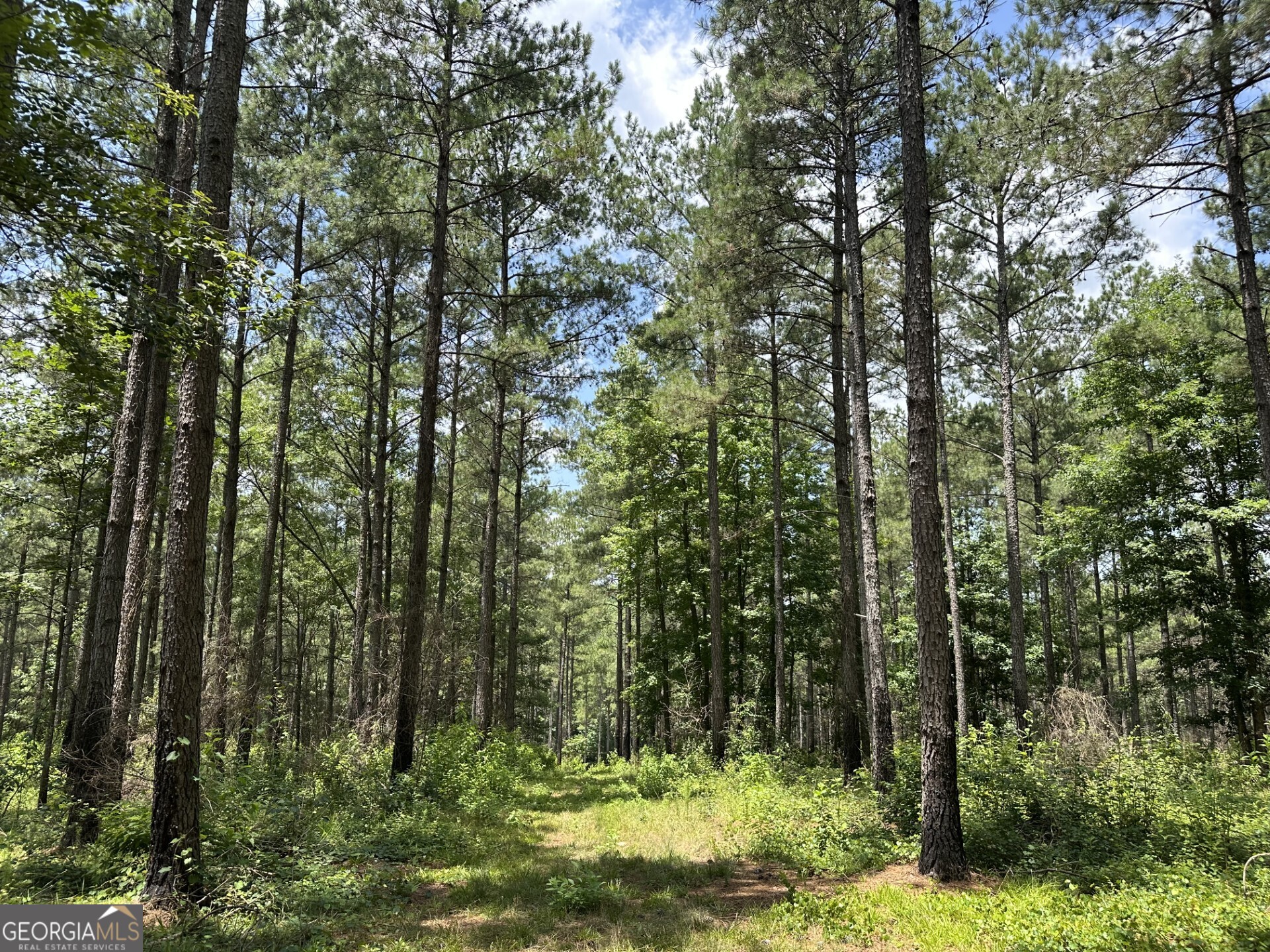 360 Happy Hollow Road Comer GA 30629