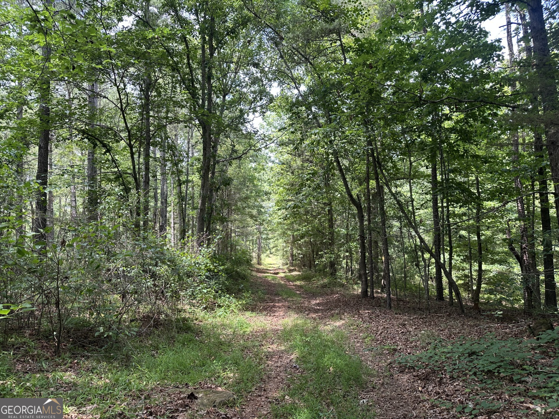 360 Happy Hollow Road Comer GA 30629