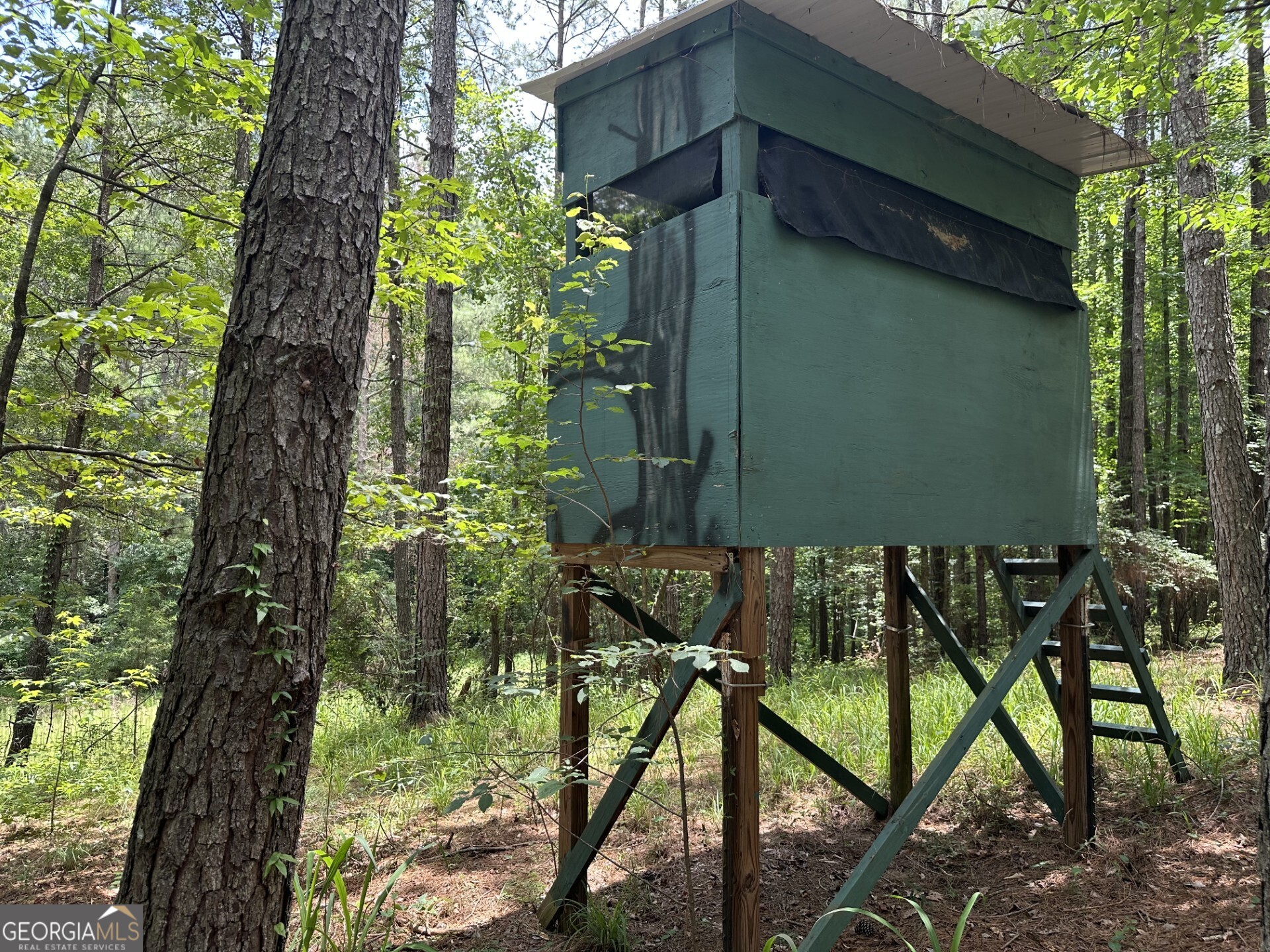 360 Happy Hollow Road Comer GA 30629