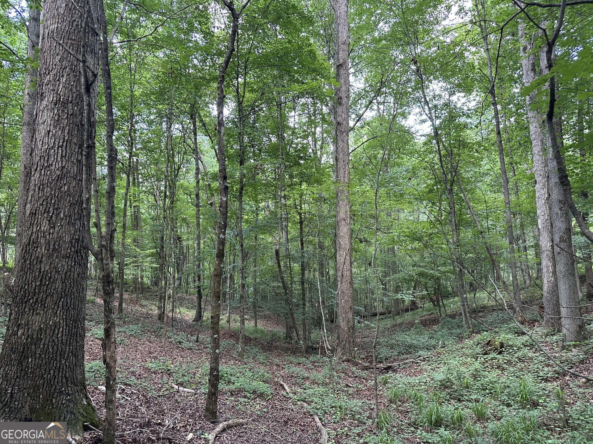 360 Happy Hollow Road Comer GA 30629