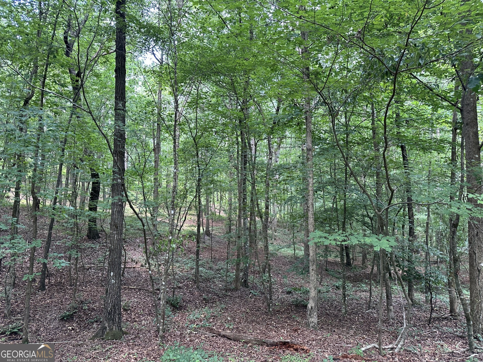 360 Happy Hollow Road Comer GA 30629