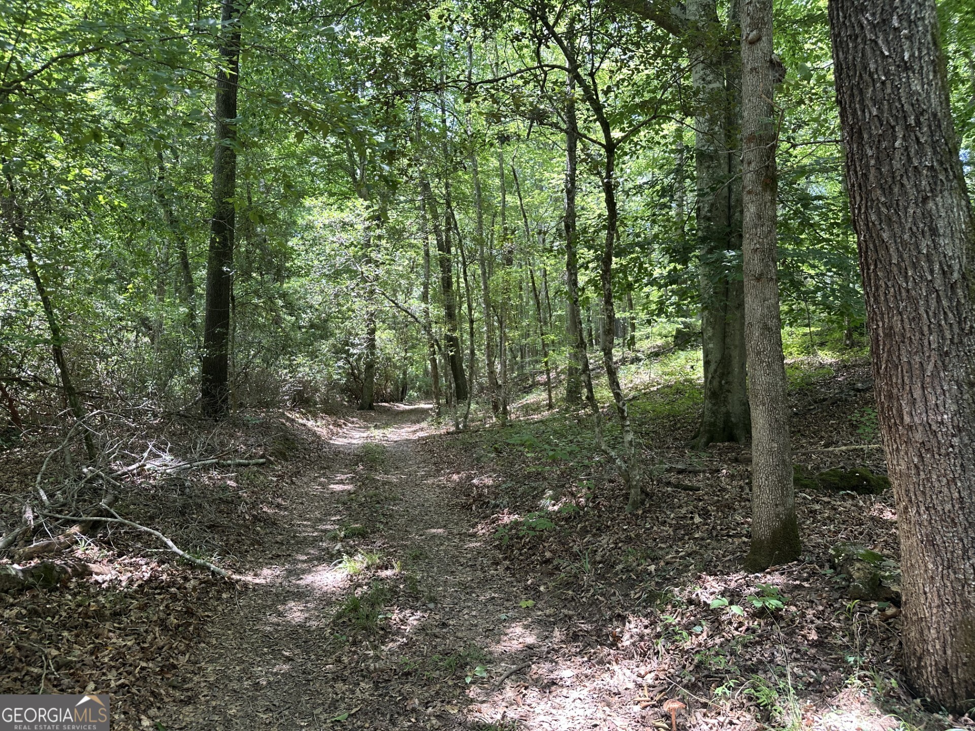 360 Happy Hollow Road Comer GA 30629