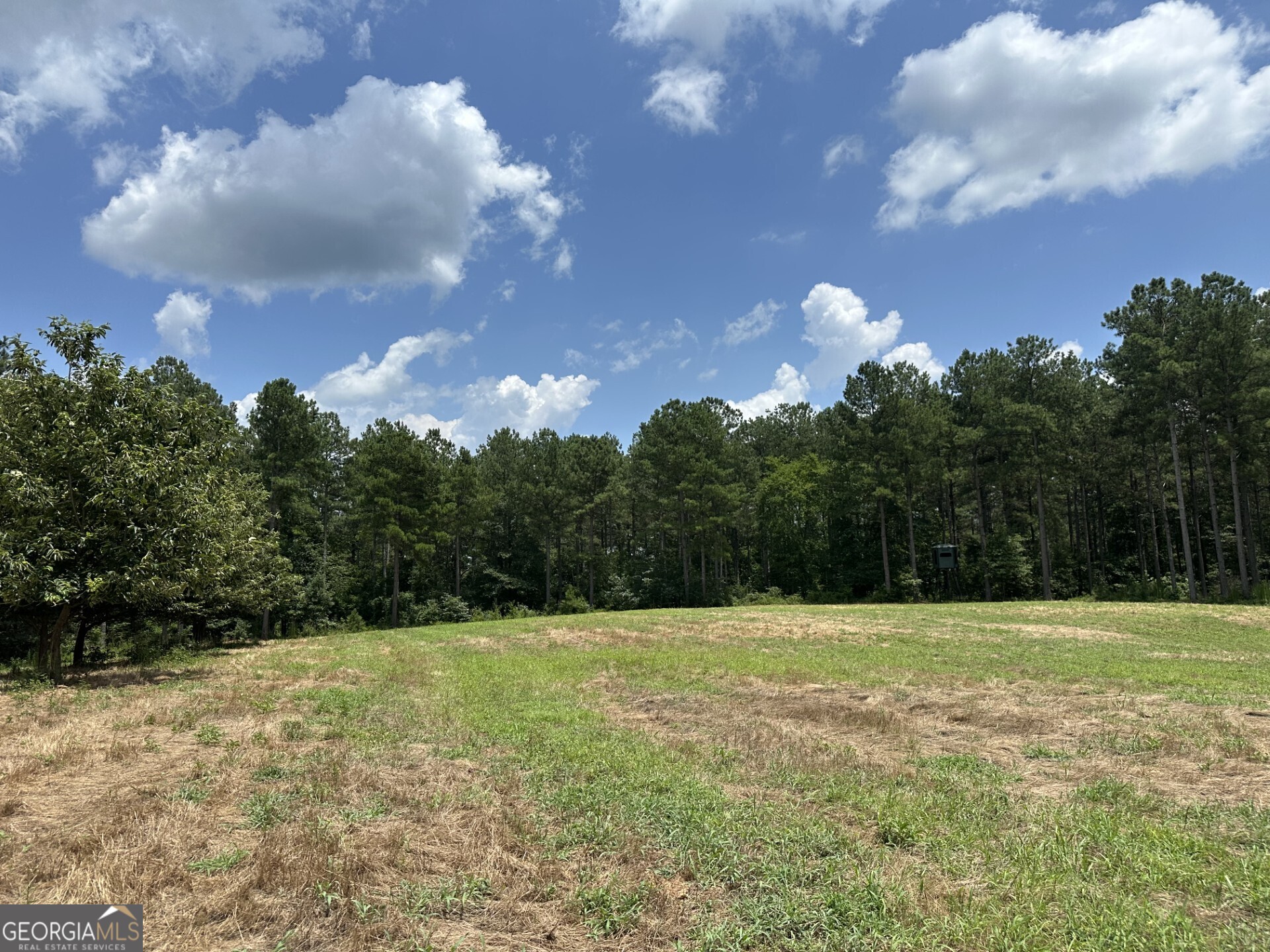 360 Happy Hollow Road Comer GA 30629