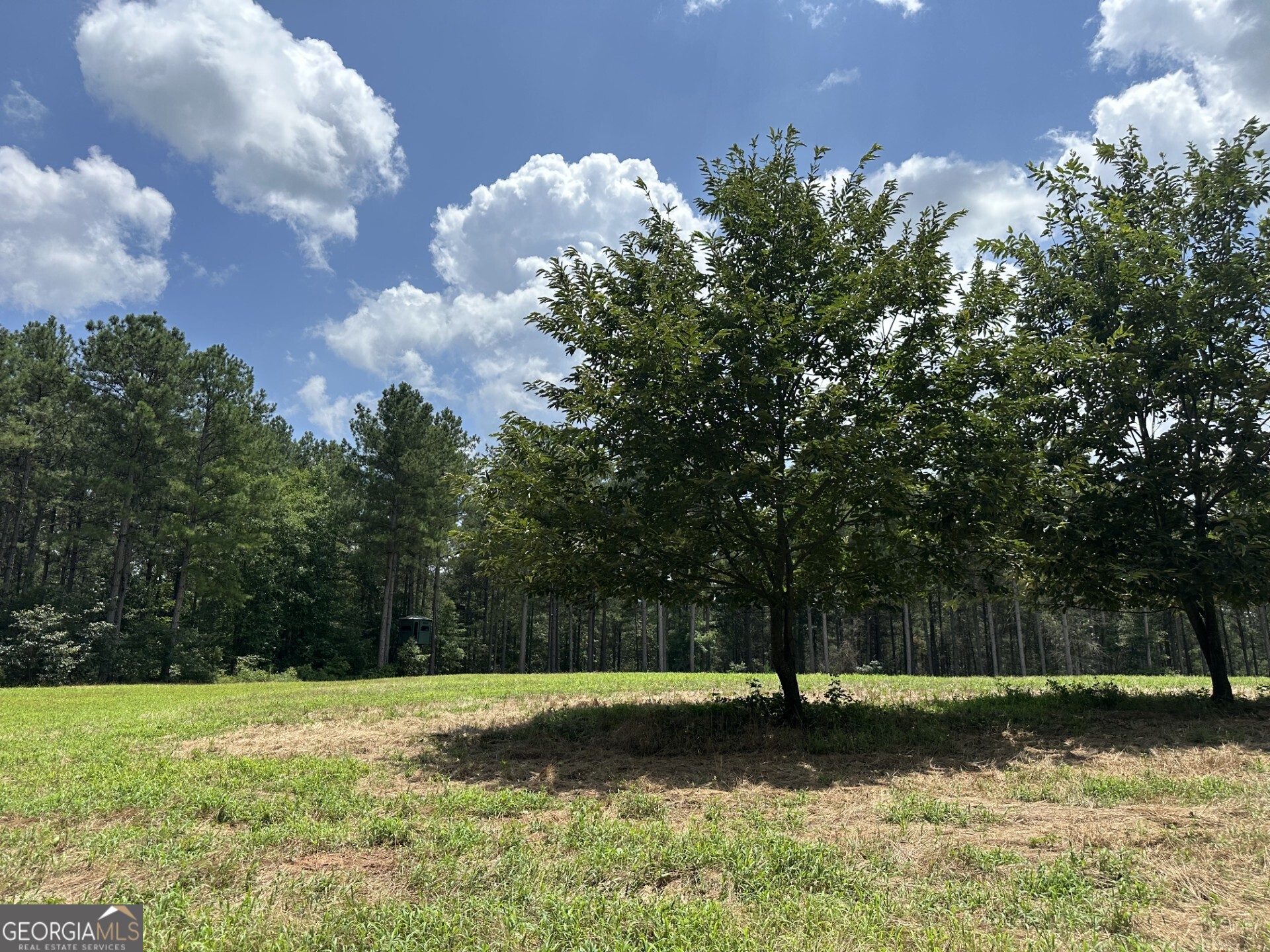 360 Happy Hollow Road Comer GA 30629