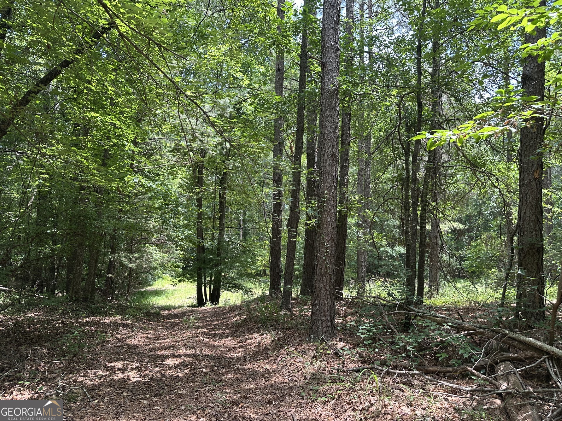 360 Happy Hollow Road Comer GA 30629