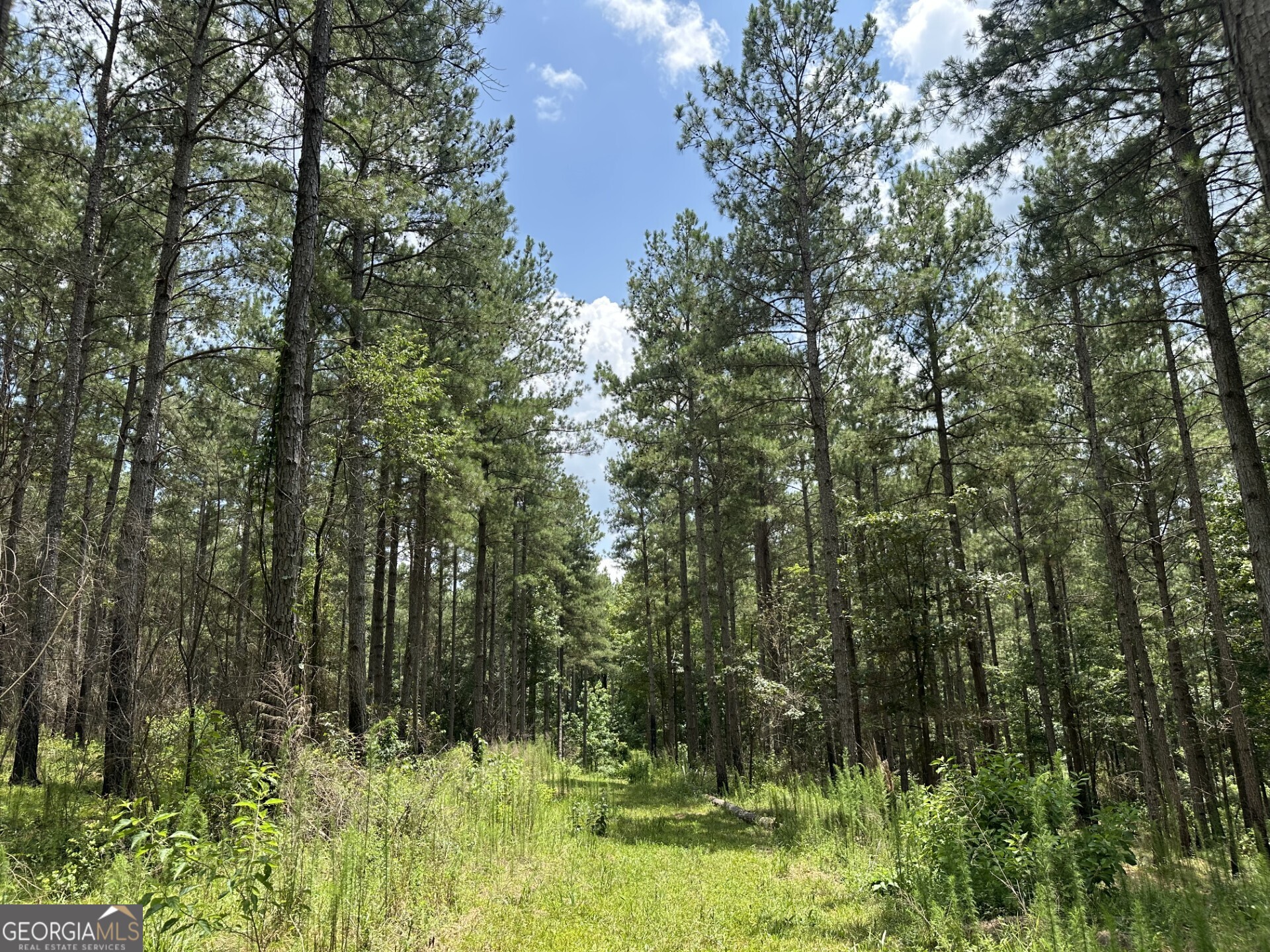 360 Happy Hollow Road Comer GA 30629