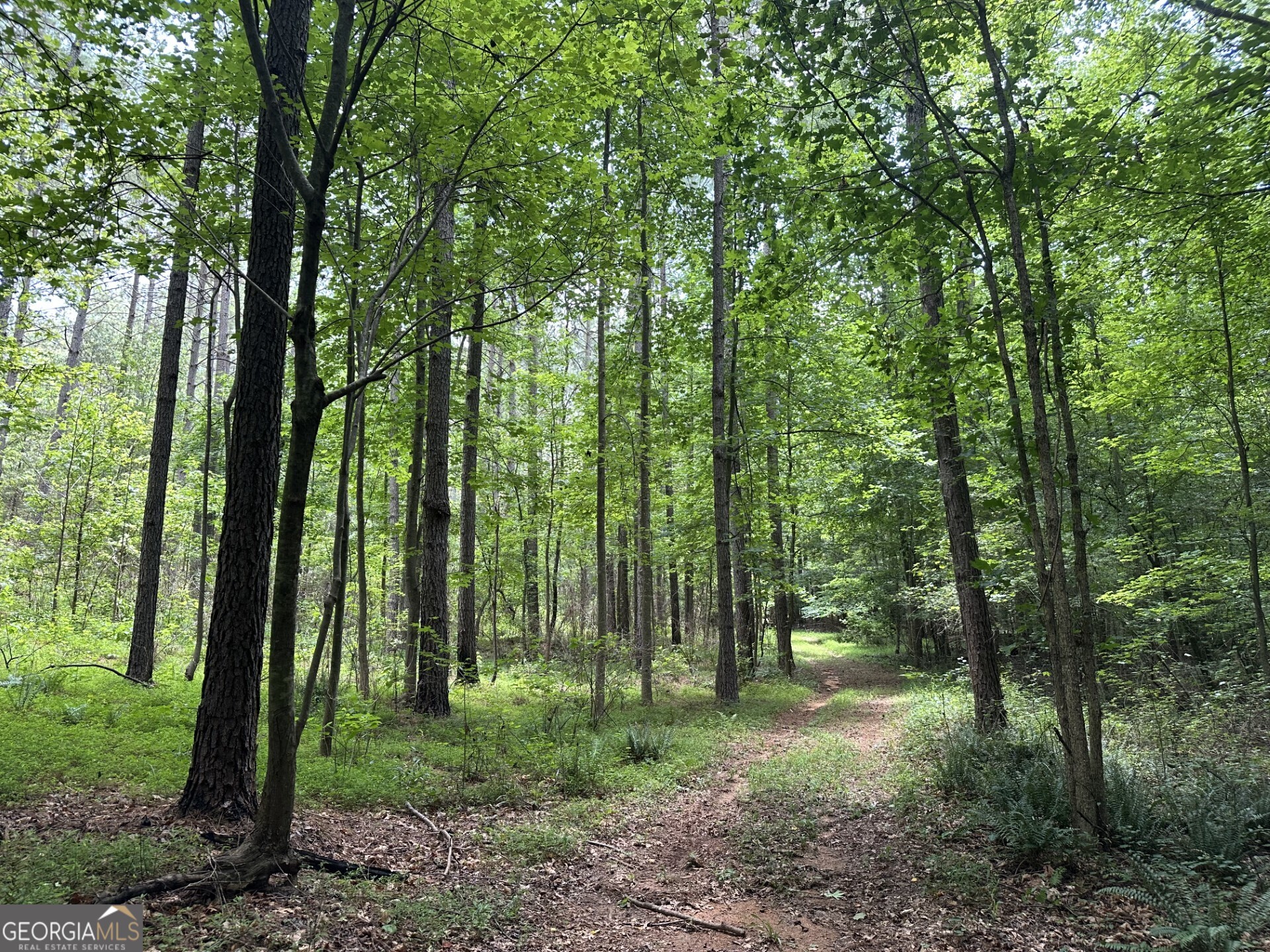 360 Happy Hollow Road Comer GA 30629