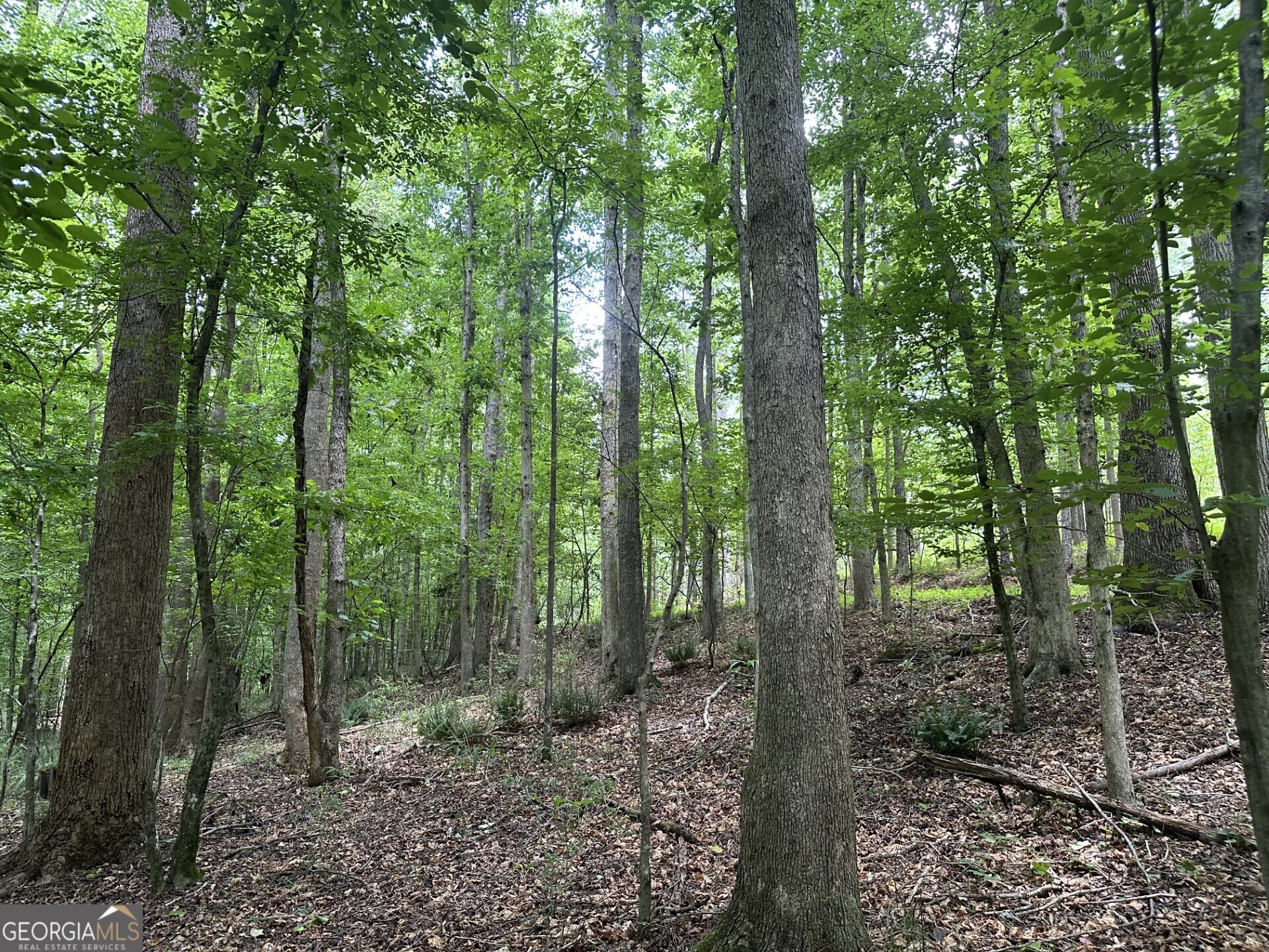 360 Happy Hollow Road Comer GA 30629