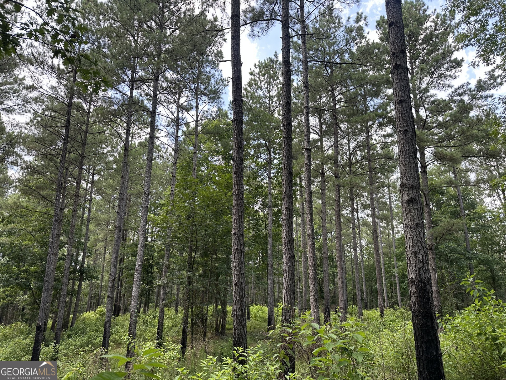 360 Happy Hollow Road Comer GA 30629
