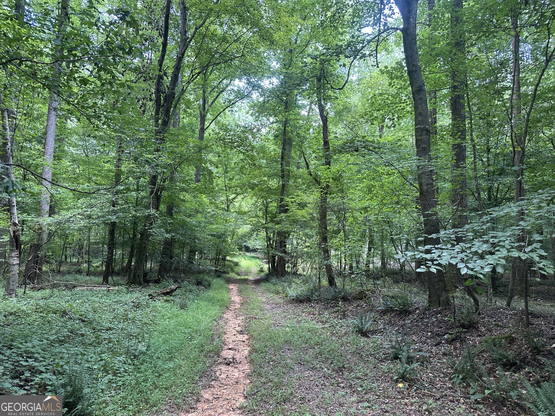360 Happy Hollow Road Comer GA 30629