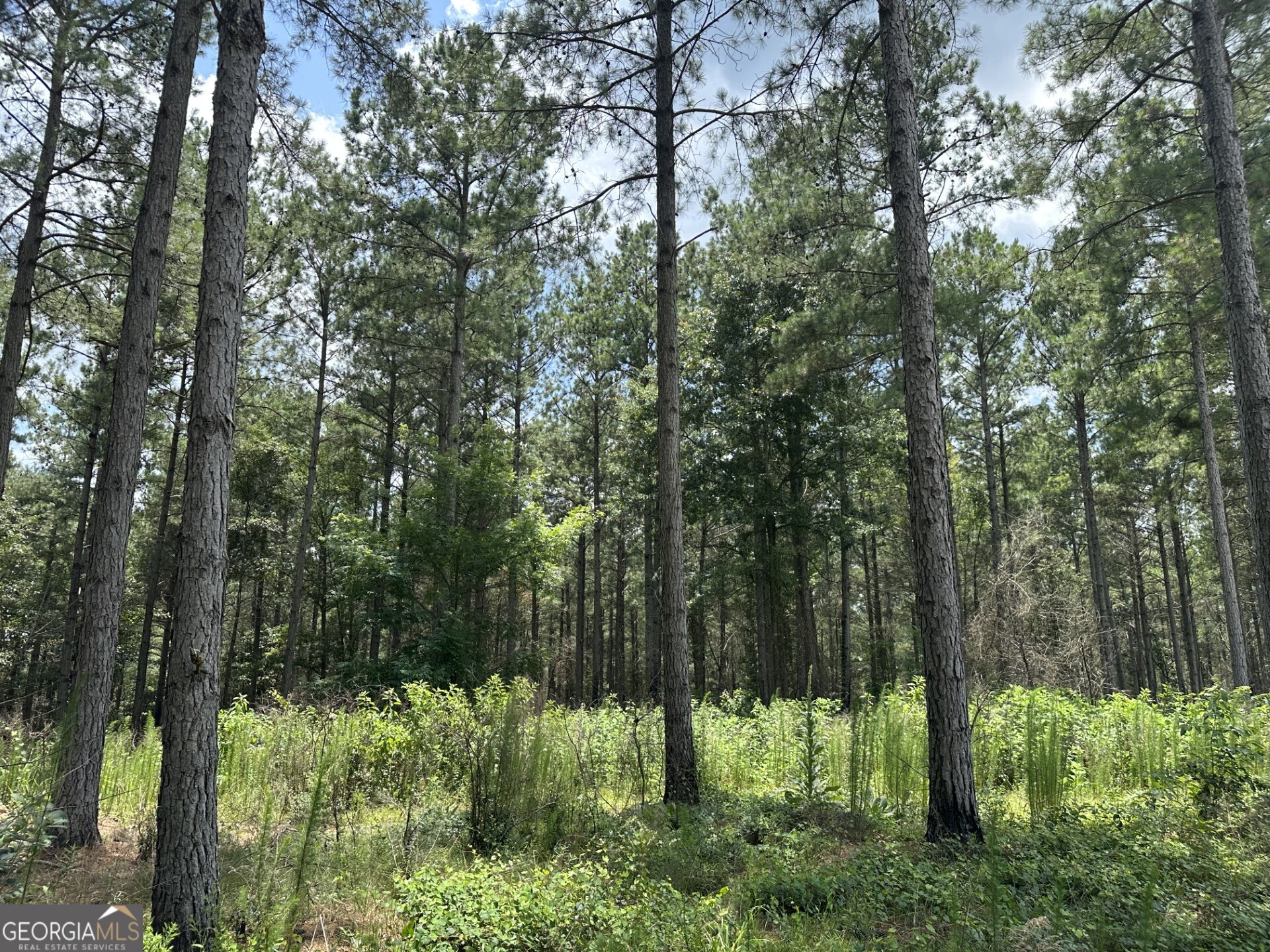 360 Happy Hollow Road Comer GA 30629