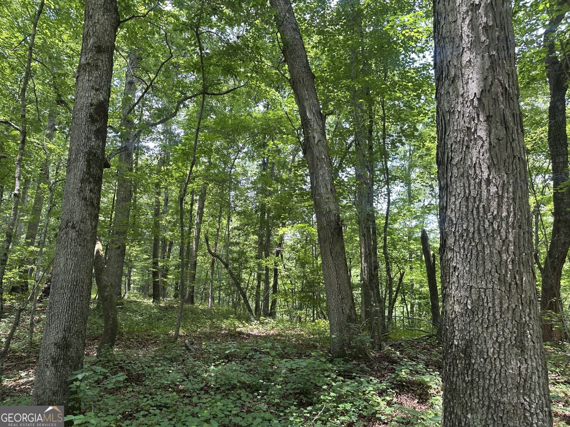 360 Happy Hollow Road Comer GA 30629