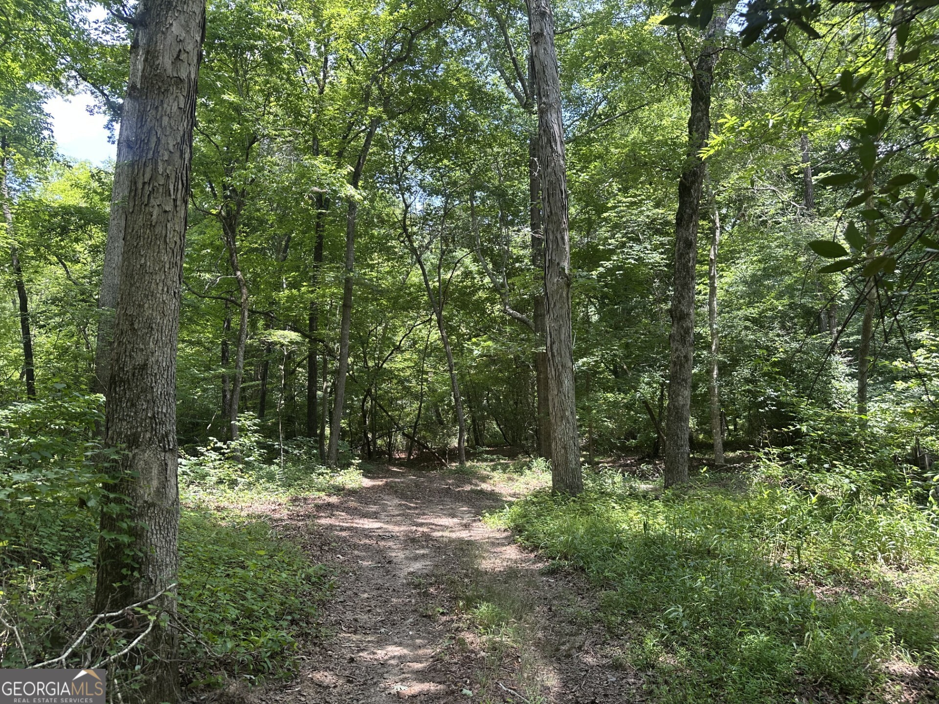 360 Happy Hollow Road Comer GA 30629