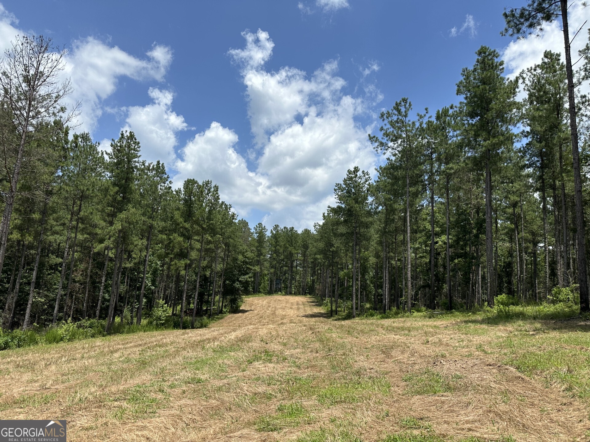360 Happy Hollow Road Comer GA 30629