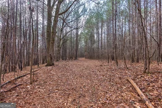 0 Double Bridges Road Madison GA 30650
