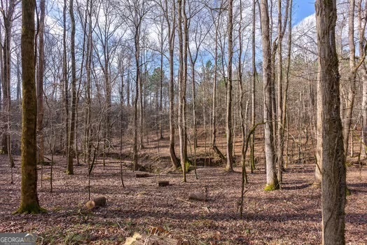 0 Double Bridges Road Madison GA 30650