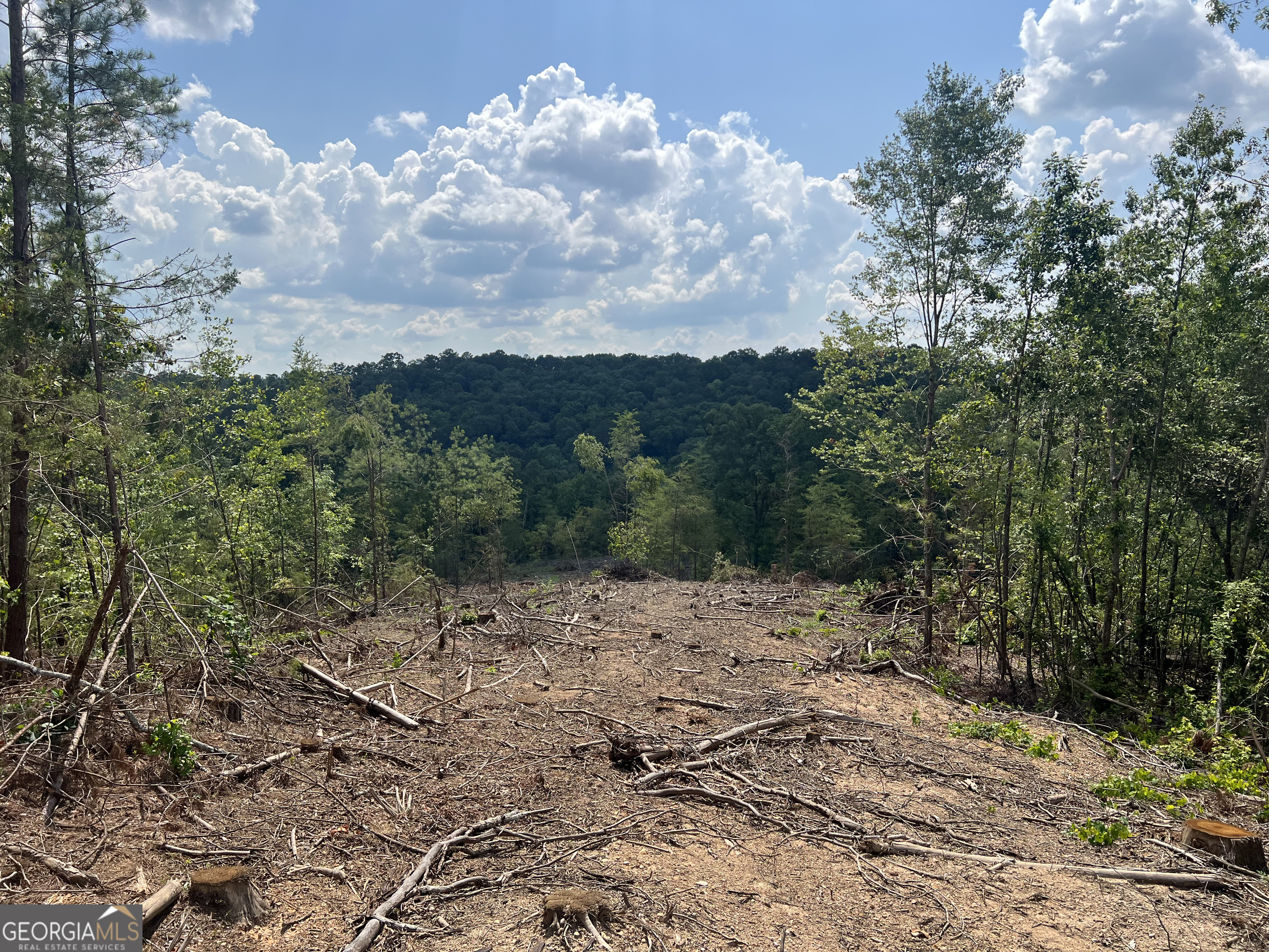 2055 Blacks Bluff Road Rome GA 30161