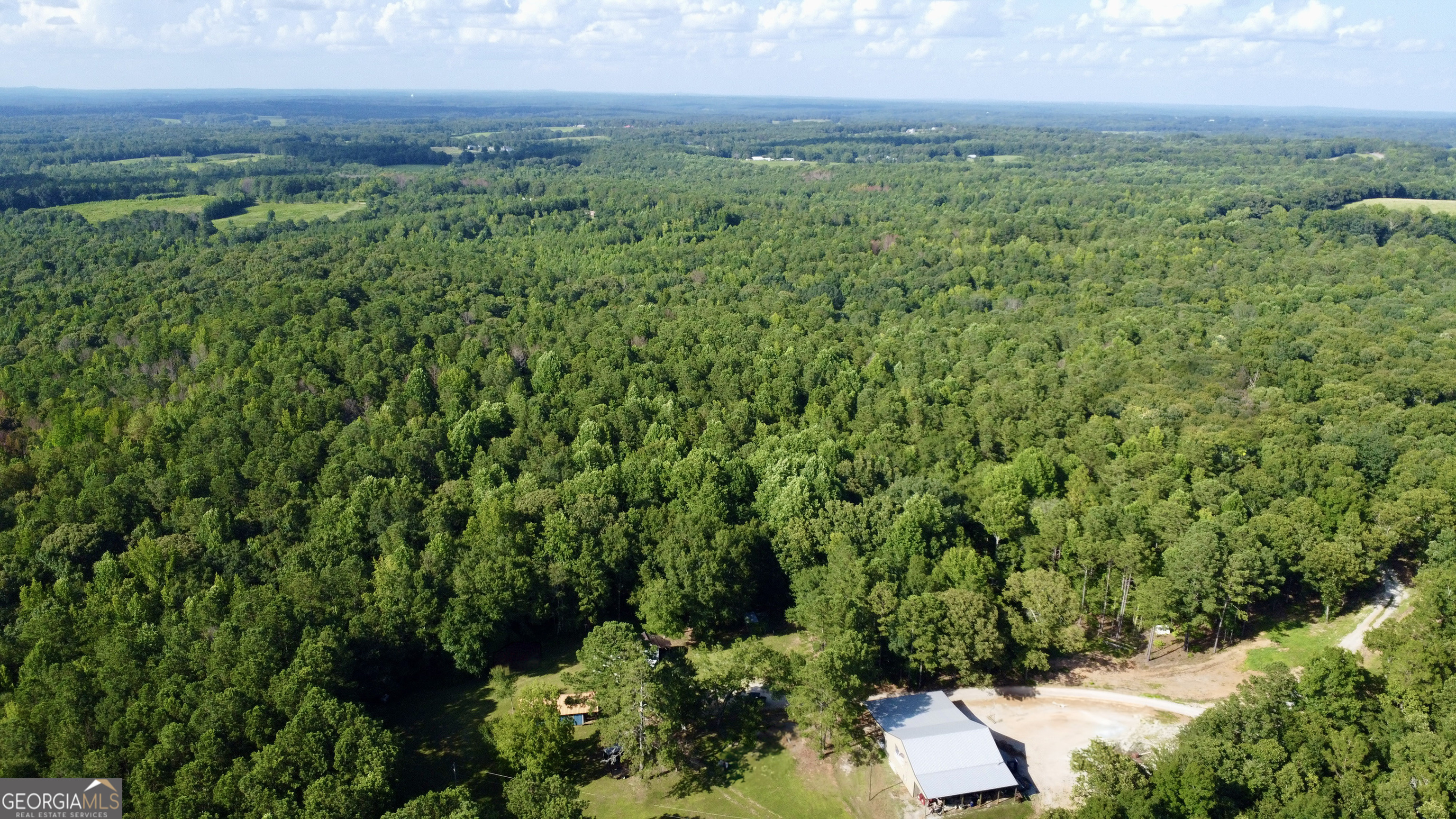 621 Rance Foster Road Bowdon GA 30108