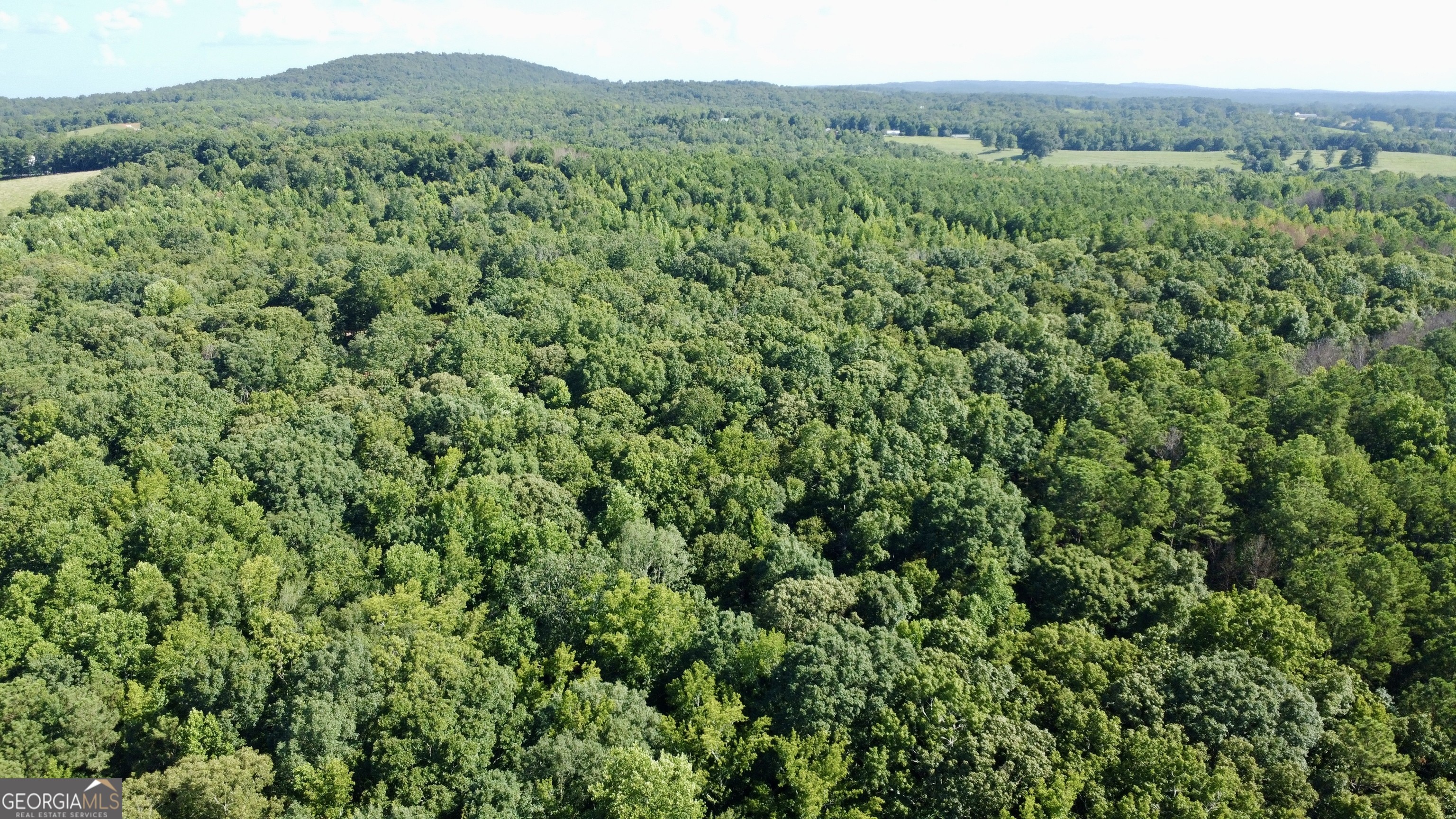 621 Rance Foster Road Bowdon GA 30108