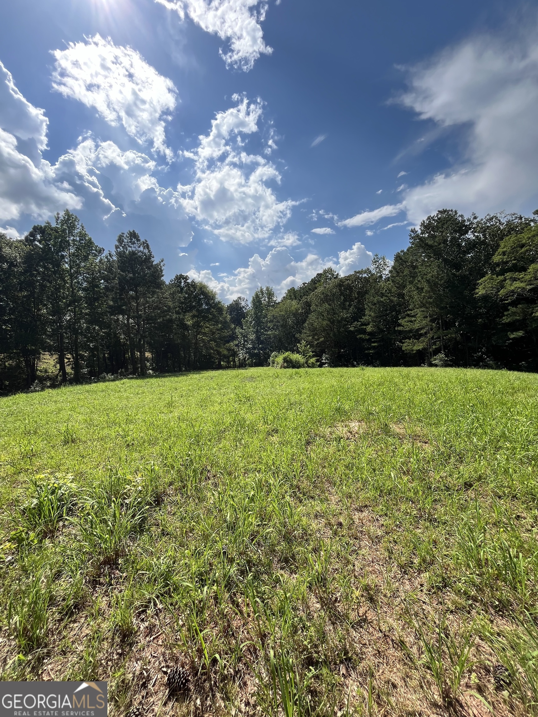 621 Rance Foster Road Bowdon GA 30108