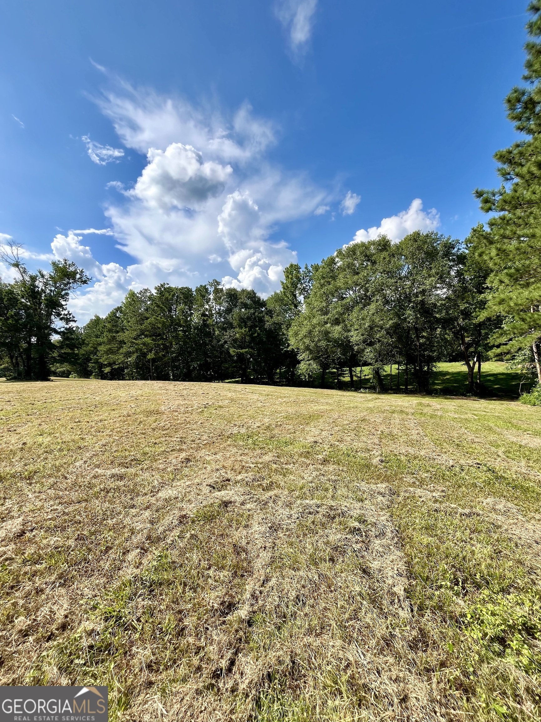 621 Rance Foster Road Bowdon GA 30108