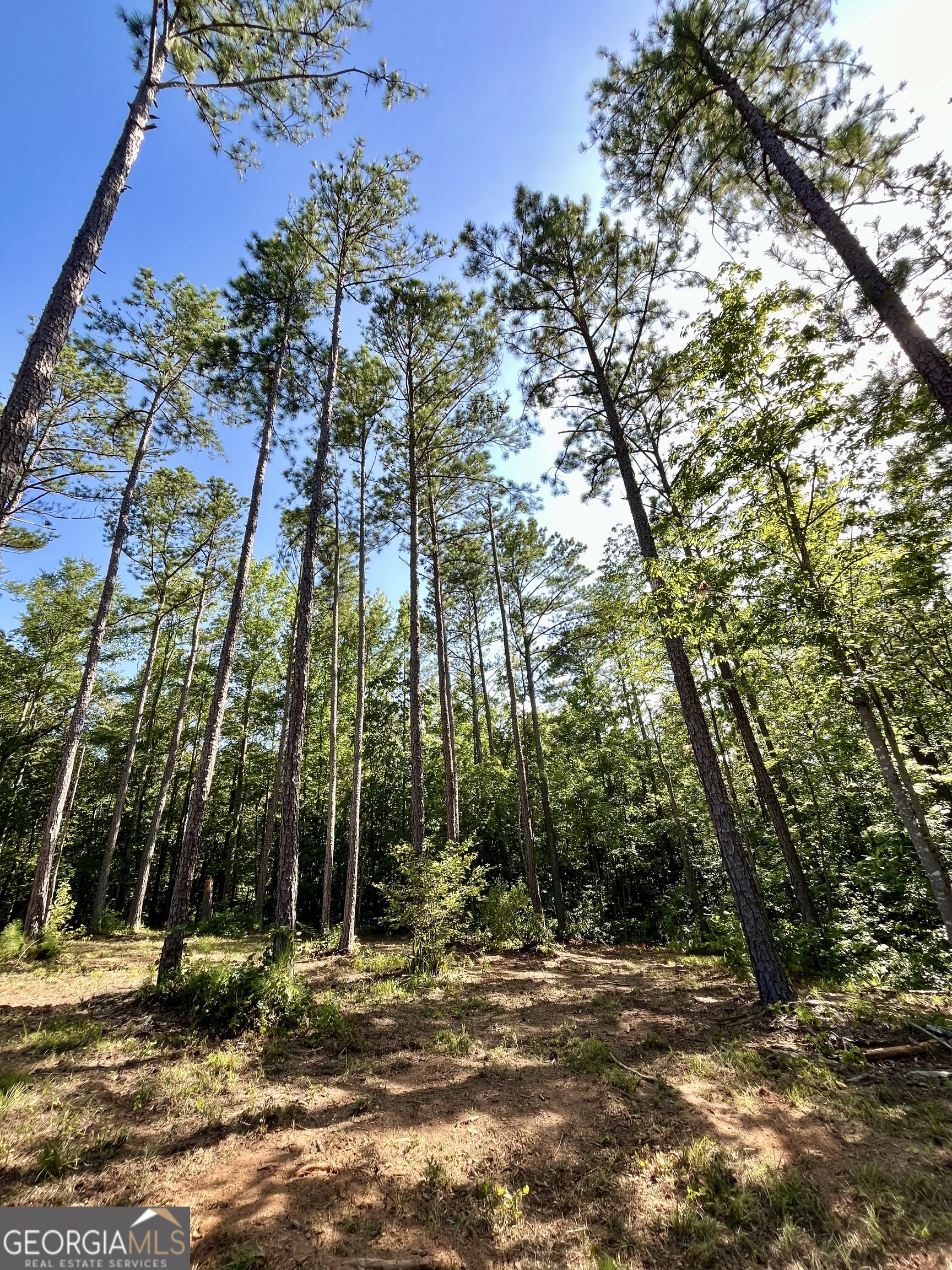 621 Rance Foster Road Bowdon GA 30108
