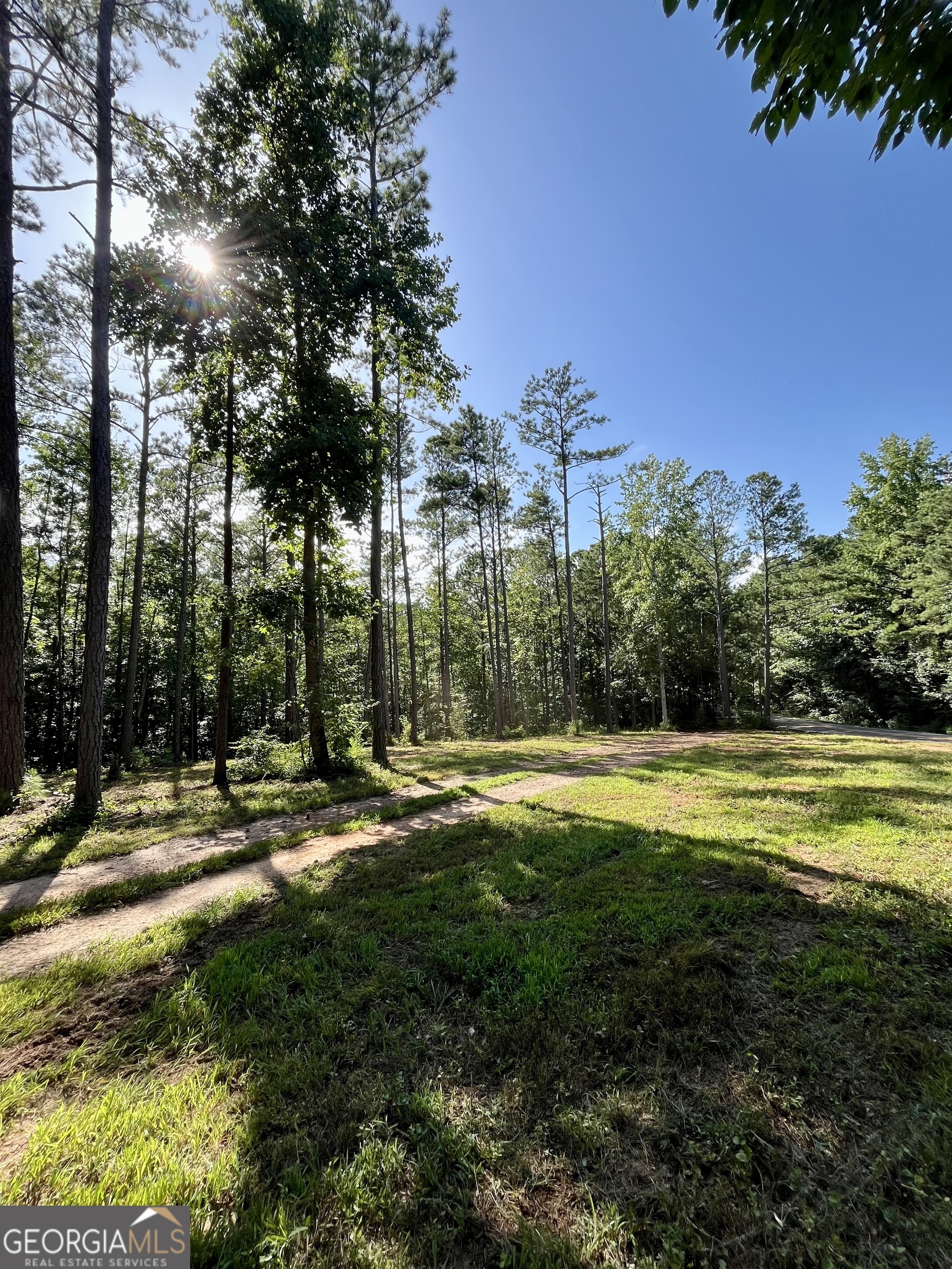 621 Rance Foster Road Bowdon GA 30108