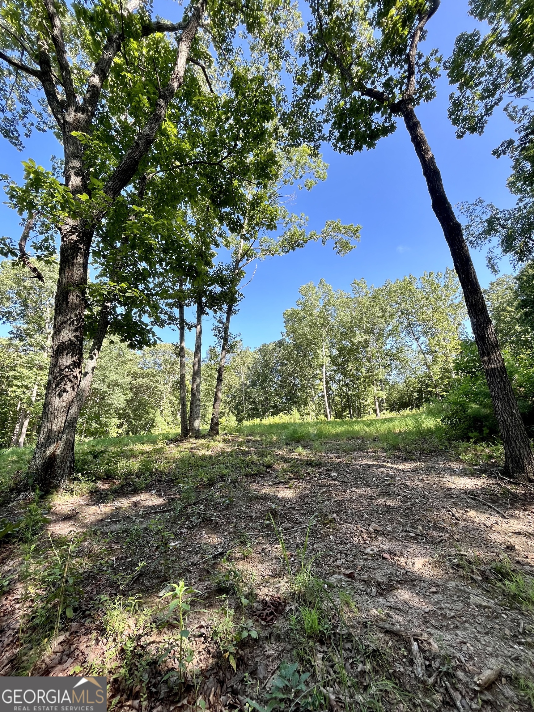 621 Rance Foster Road Bowdon GA 30108