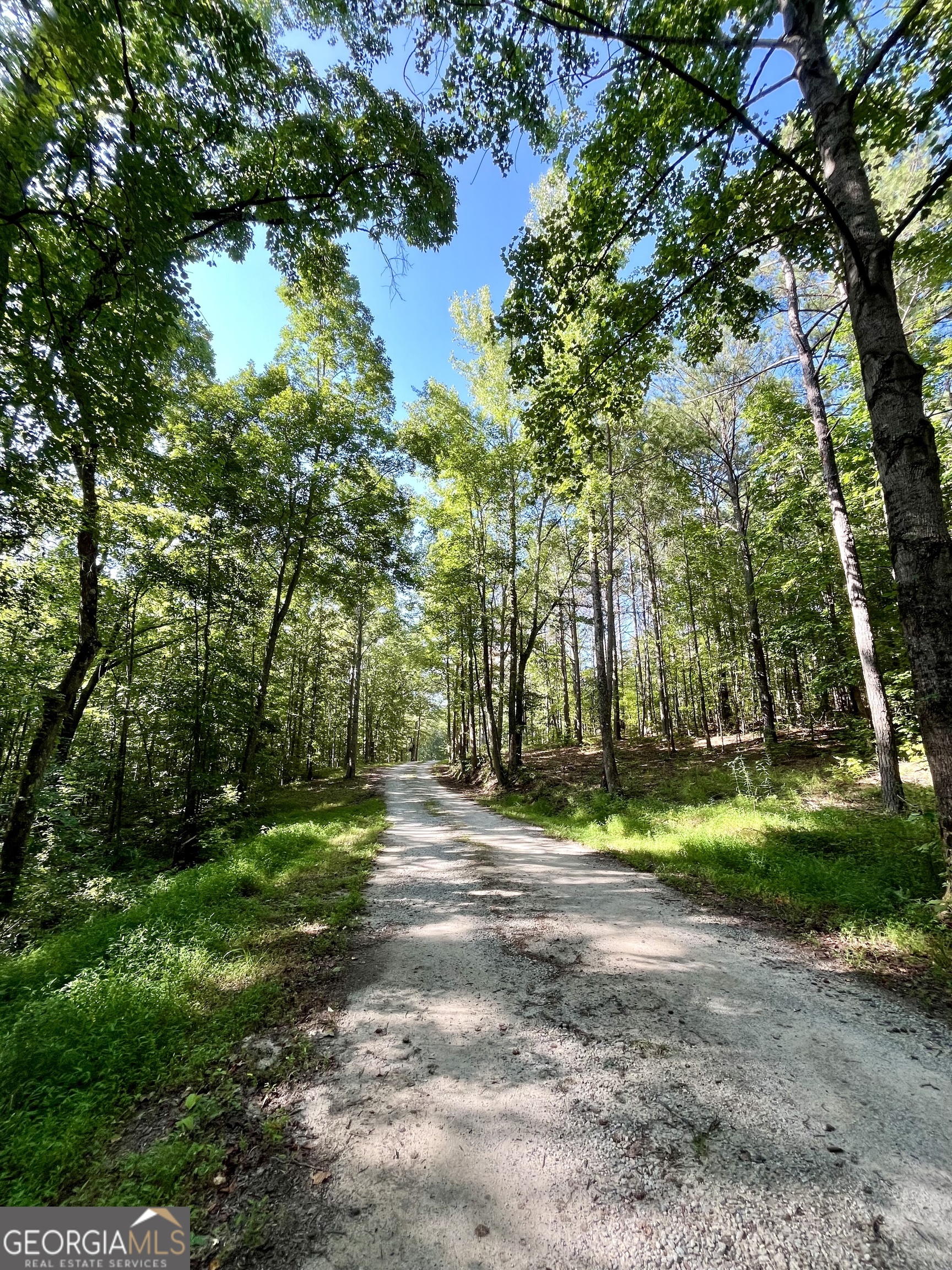 621 Rance Foster Road Bowdon GA 30108
