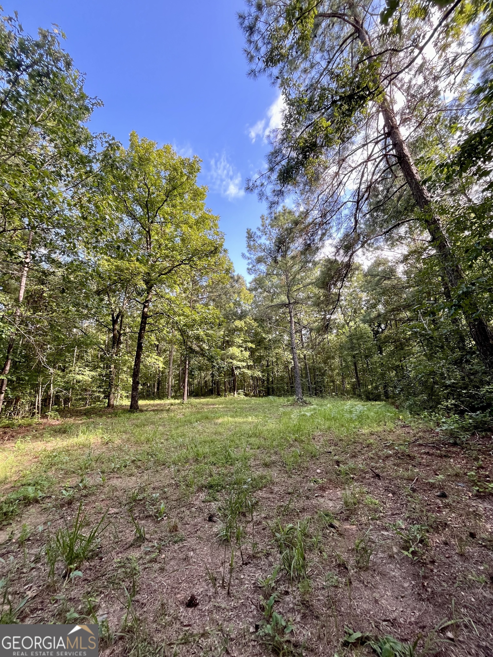 621 Rance Foster Road Bowdon GA 30108