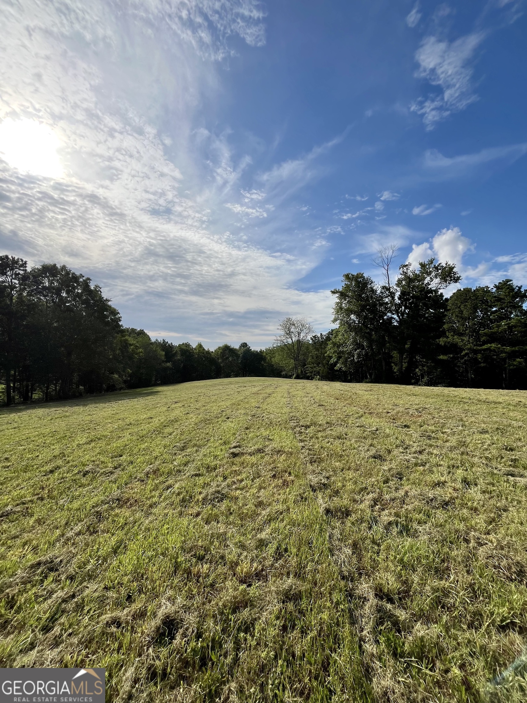 621 Rance Foster Road Bowdon GA 30108