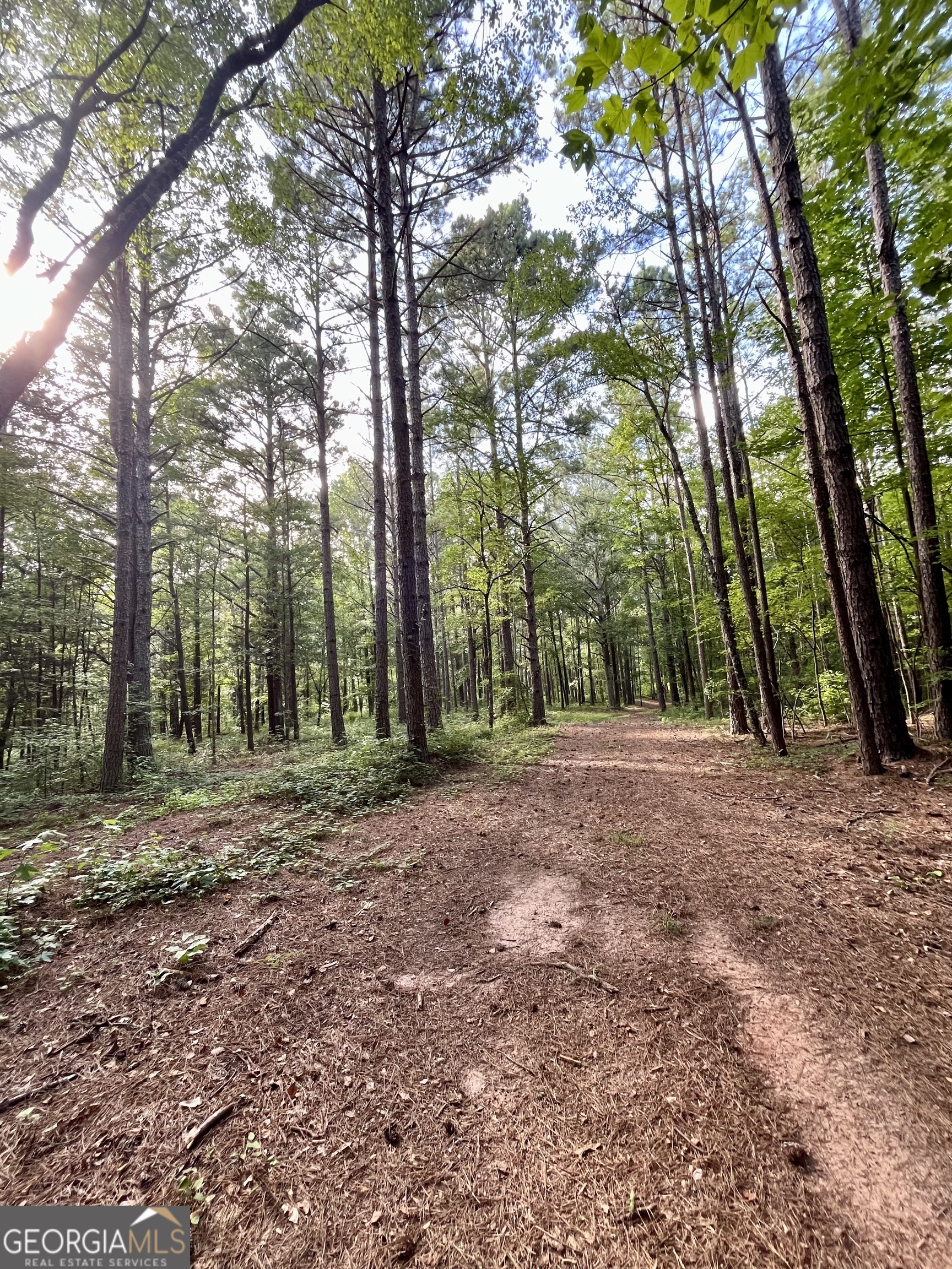 621 Rance Foster Road Bowdon GA 30108