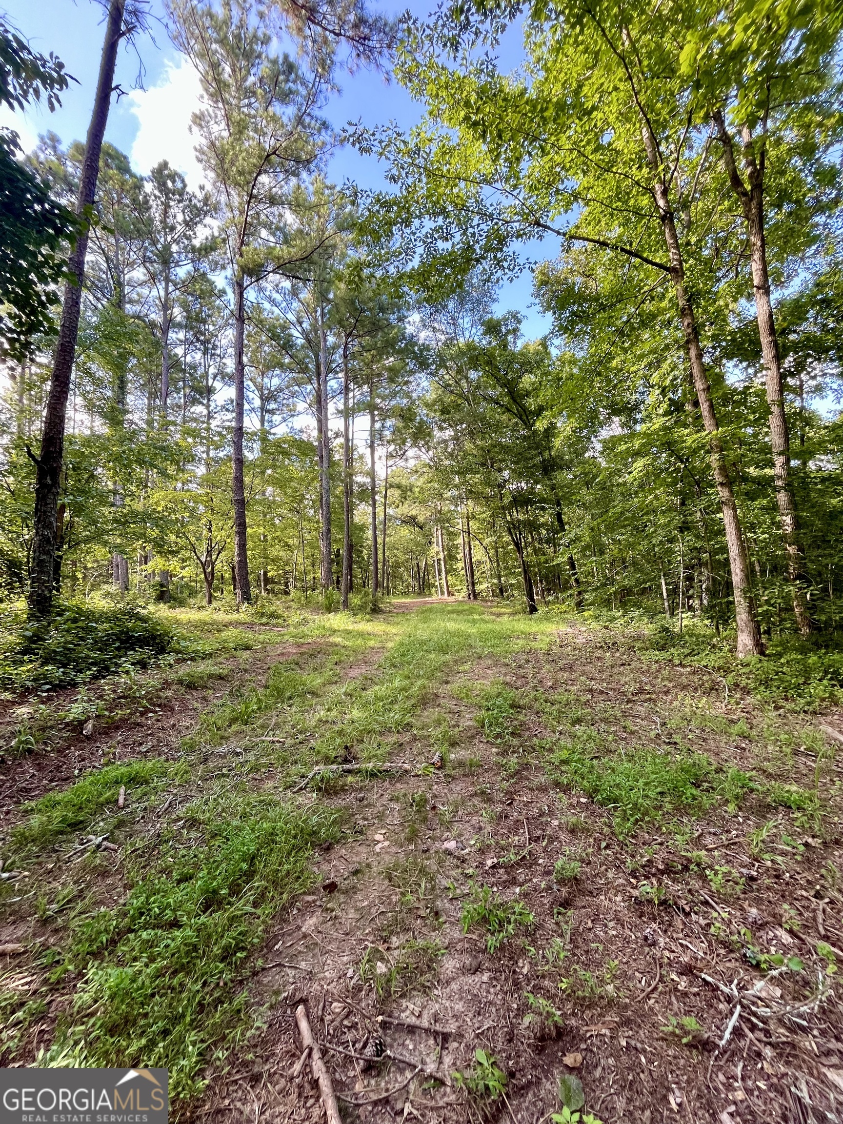 621 Rance Foster Road Bowdon GA 30108
