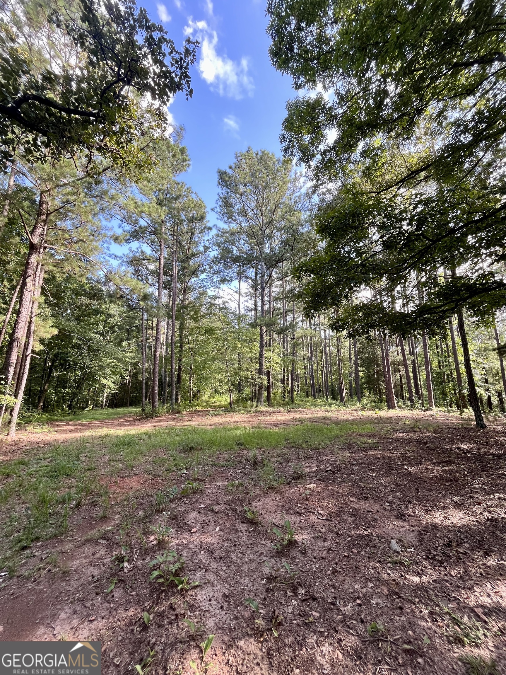 621 Rance Foster Road Bowdon GA 30108