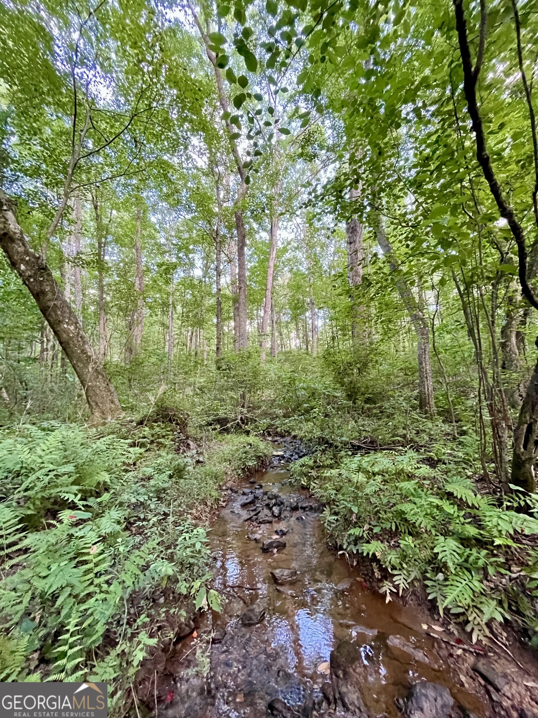 621 Rance Foster Road Bowdon GA 30108