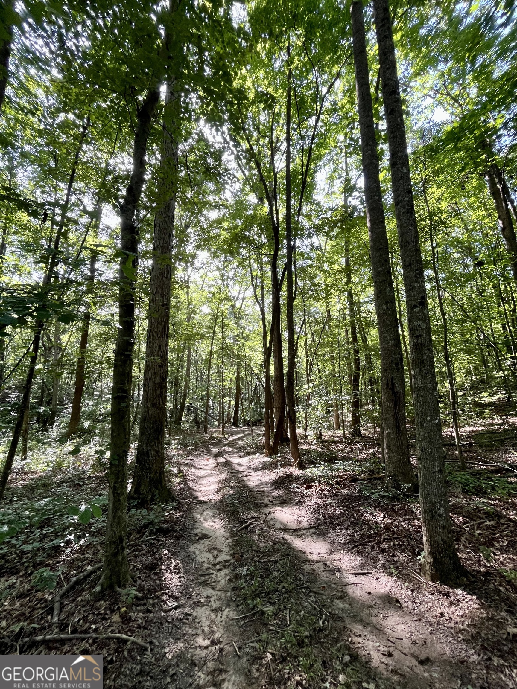 621 Rance Foster Road Bowdon GA 30108